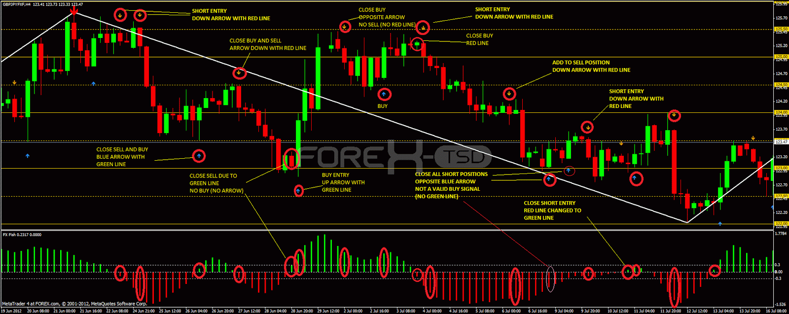 short term forex trading system 09