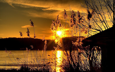 ¡El último Sahabi en morir! Clouds_golden_golden_sunset_lake_nature_wallpaper_e052011-1680x1050+(2)