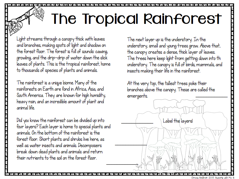 Essay on forest for class 1 image