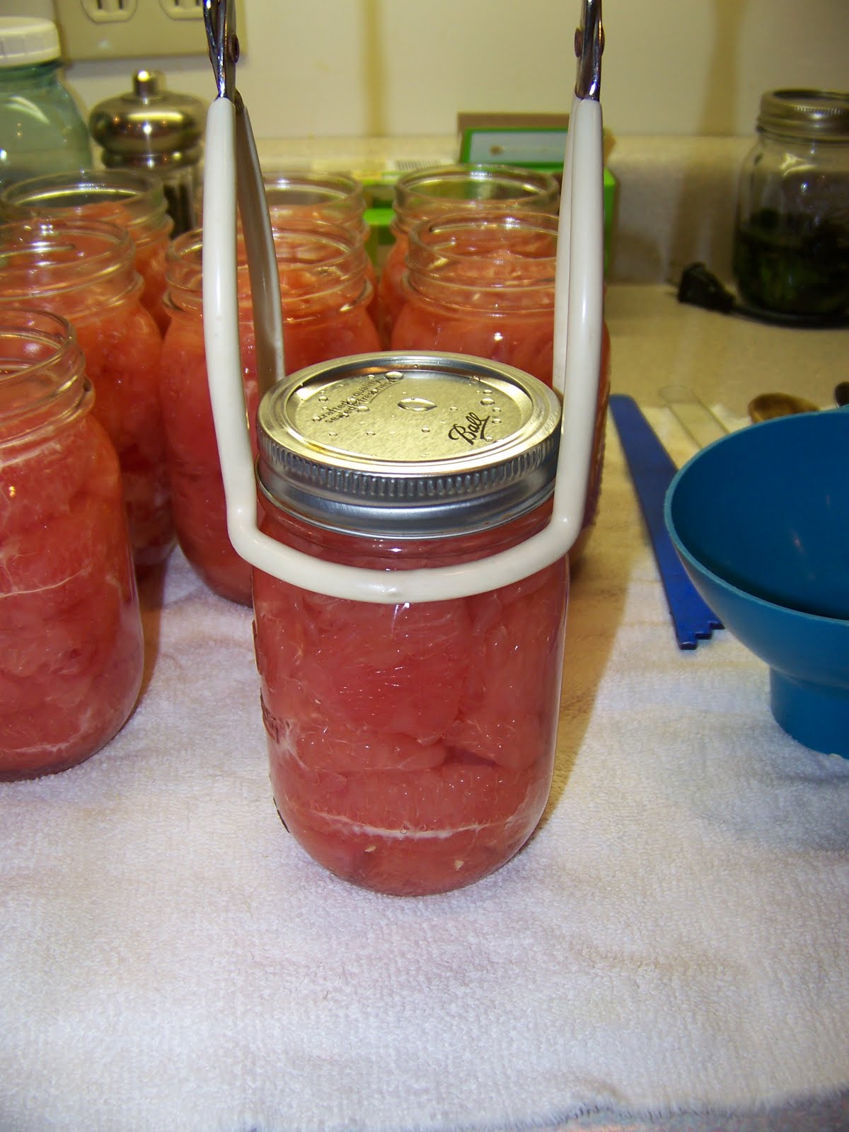 Hickery Holler Farm Canning Grapefruit