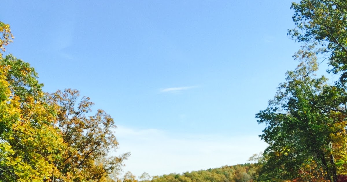 Hungry While Teaching Bean Festival. Mountain View, Arkansas.
