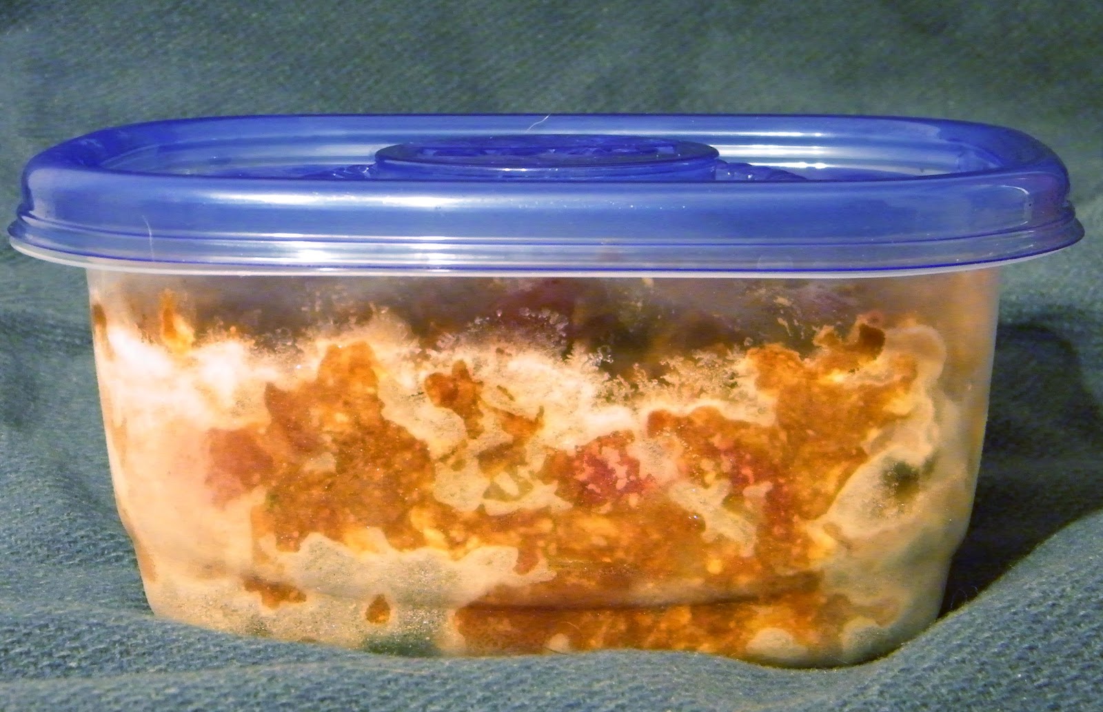 Costco Cuisine Frozen Make Ahead Mini MeatloafMake One Big Batch And You Are Set For Weeks!