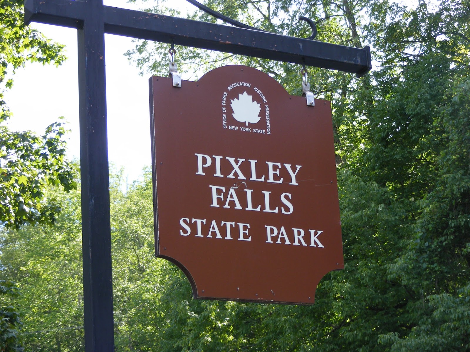Ten kids and a Dog Pixley Falls State Park