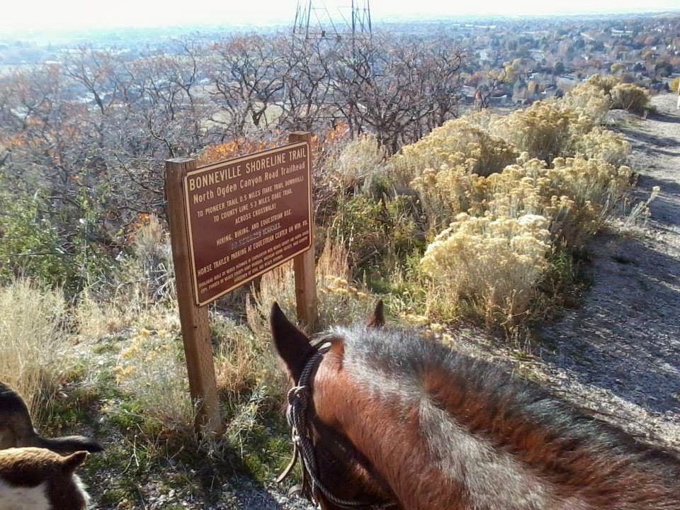 Dream Packer Trail Adventures North Ogden, Bonneville Shoreline