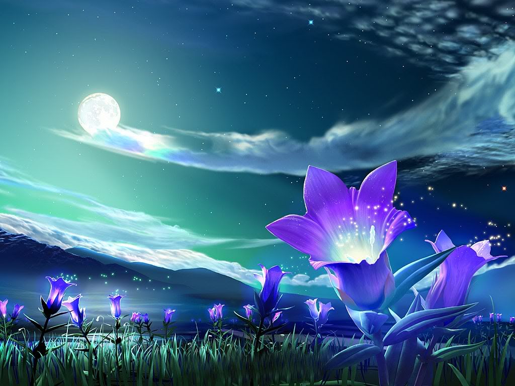 http://1.bp.blogspot.com/-1BLN4vH1HLE/TxJCUg5FRoI/AAAAAAAACo0/AK-XeEwm5Dk/s1600/Windows+7+Wallpaper+in+Flowers.jpg