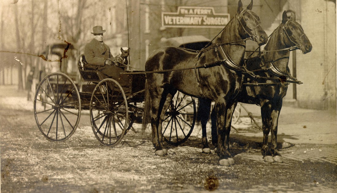 Sandusky History Dr. William A. Ferry, Veterinarian