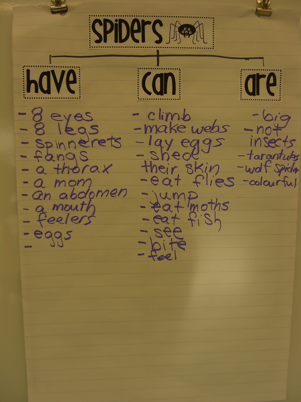 First Grade Garden: Aaaaargh! Spiders! diagram student body labels 