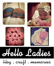 Visit the Hello Ladies Blog