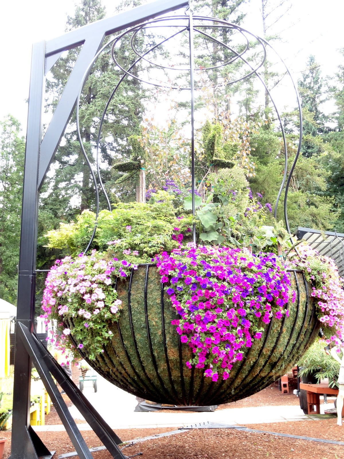 danger garden Discovering a new nursery, The Garden Corner...