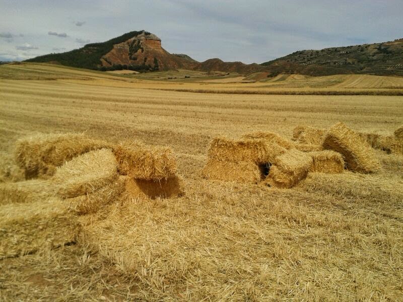 Pacas de Cebada. Casa ecológica