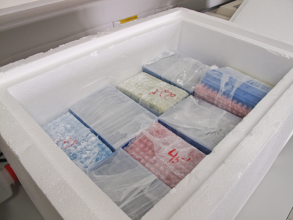 The Friedman Lab Chronicles It is a cold harsh world Lessons in