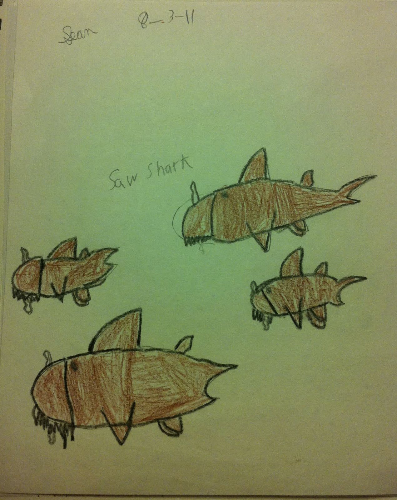 WardEntertainment: Shark Week Sketch Jam: Longnose or Saw Shark