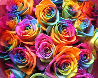 Jual bunga mawar pelangi / rainbow rose jakarta