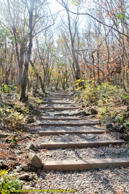 jeju mountain