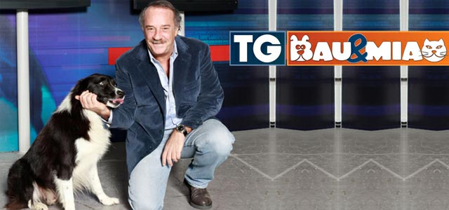 tg bau&miao