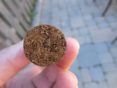 Cigar Cuba chính hiệu!!! Đẳng cấp ông chủ!!!! - 6