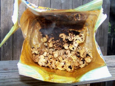 Ryan in Boise: Burnt Popcorn