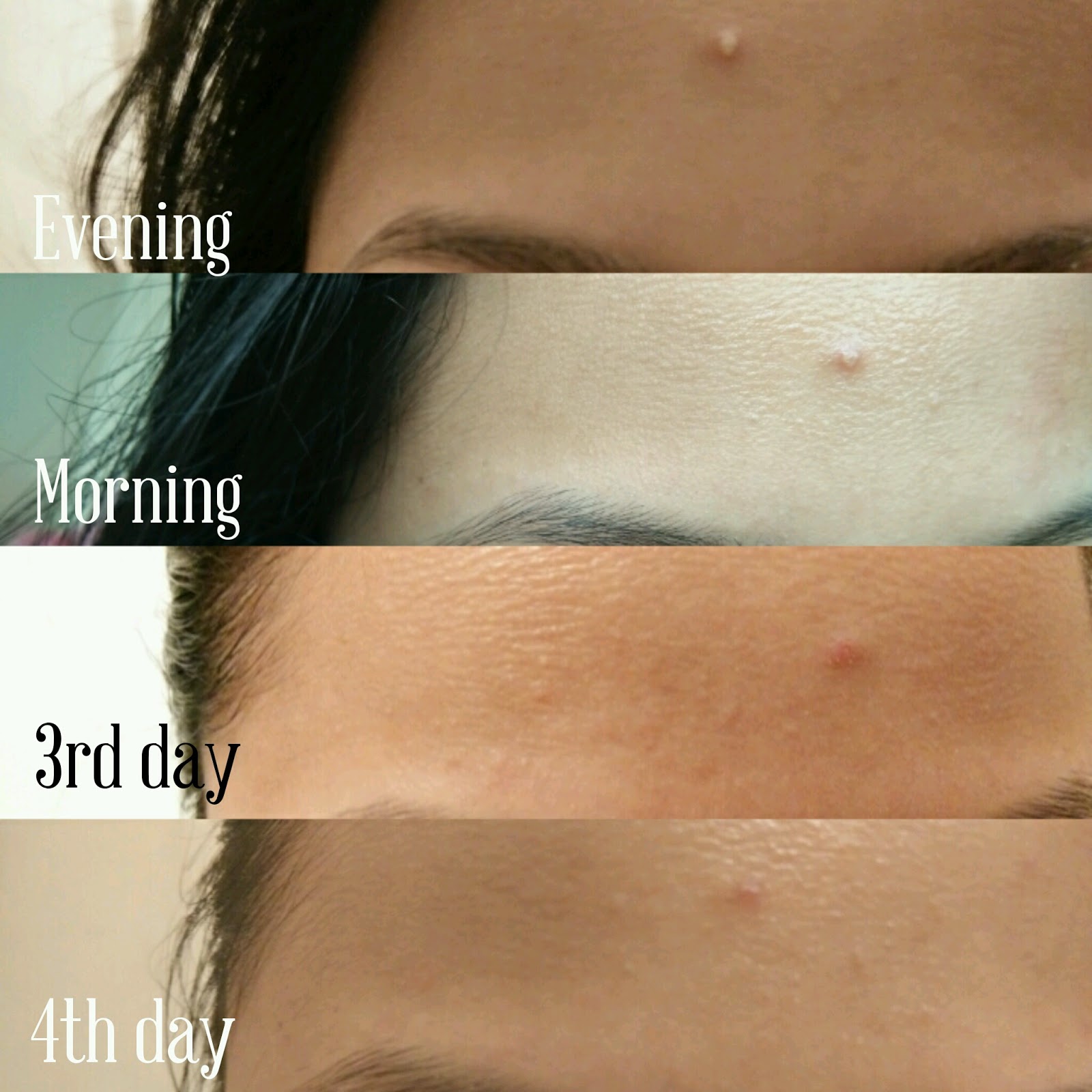 Grapeseed oil from Zivine Organics THE BEAUTY IN BLISS by Danica