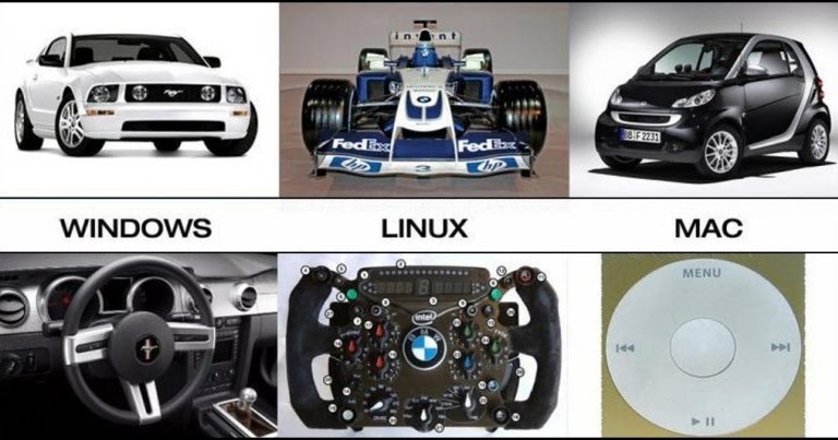 Picture Helper W Vs L Vs M