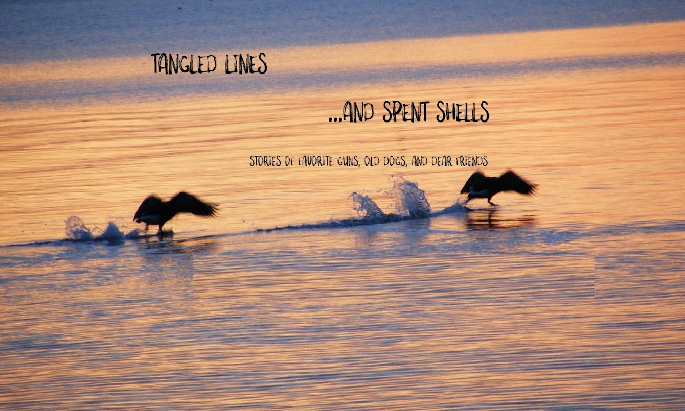 Tangled Lines and Spent Shells   
