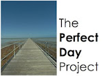 The Perfect Day Project