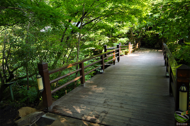 仙仁温泉 岩の湯