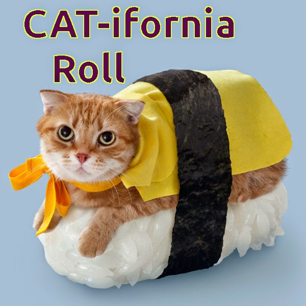 Meme of Sushi Cat