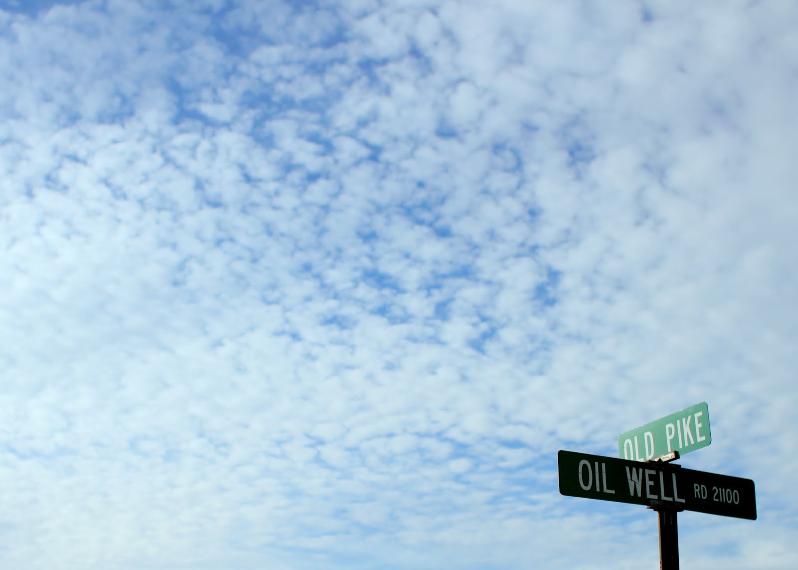 26 east ride with us wild rose equine center