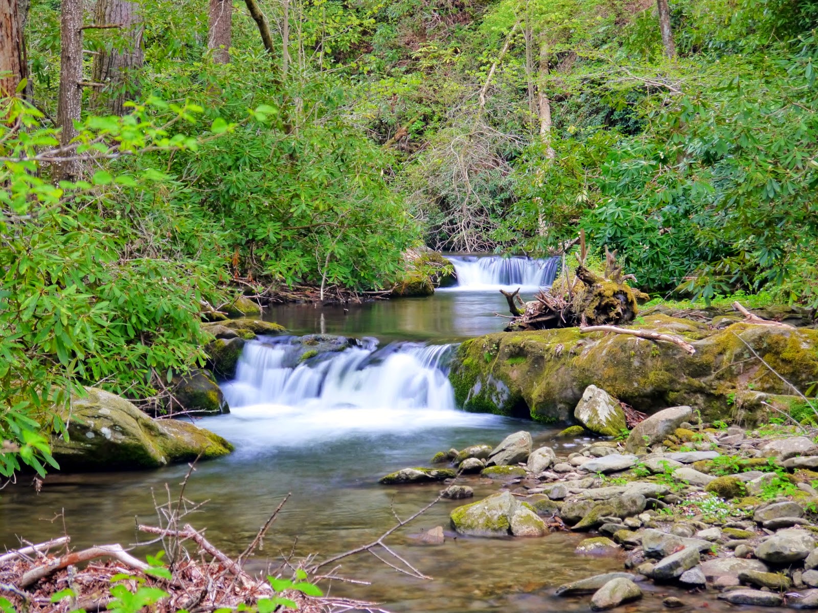 American Travel Journal Parson Branch Road Great Smoky Mountains