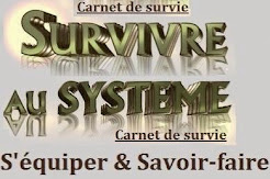 Survivre au Système éco