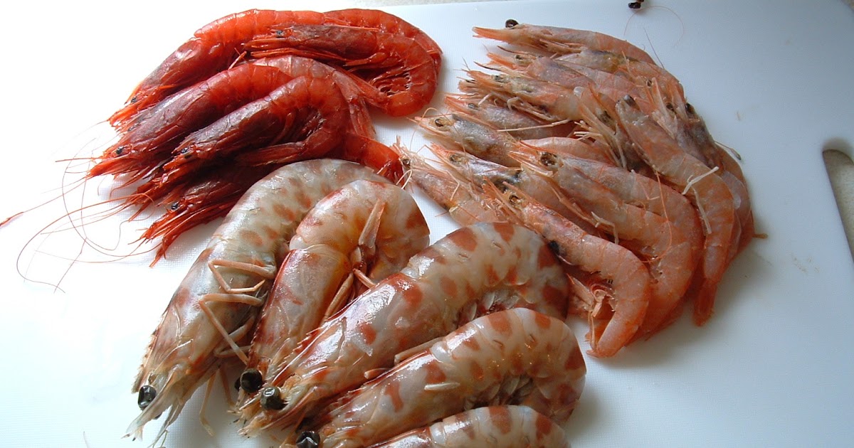 Shudh NonVeg We Deliver you fresh Seafood, Chicken & Mutton meat to