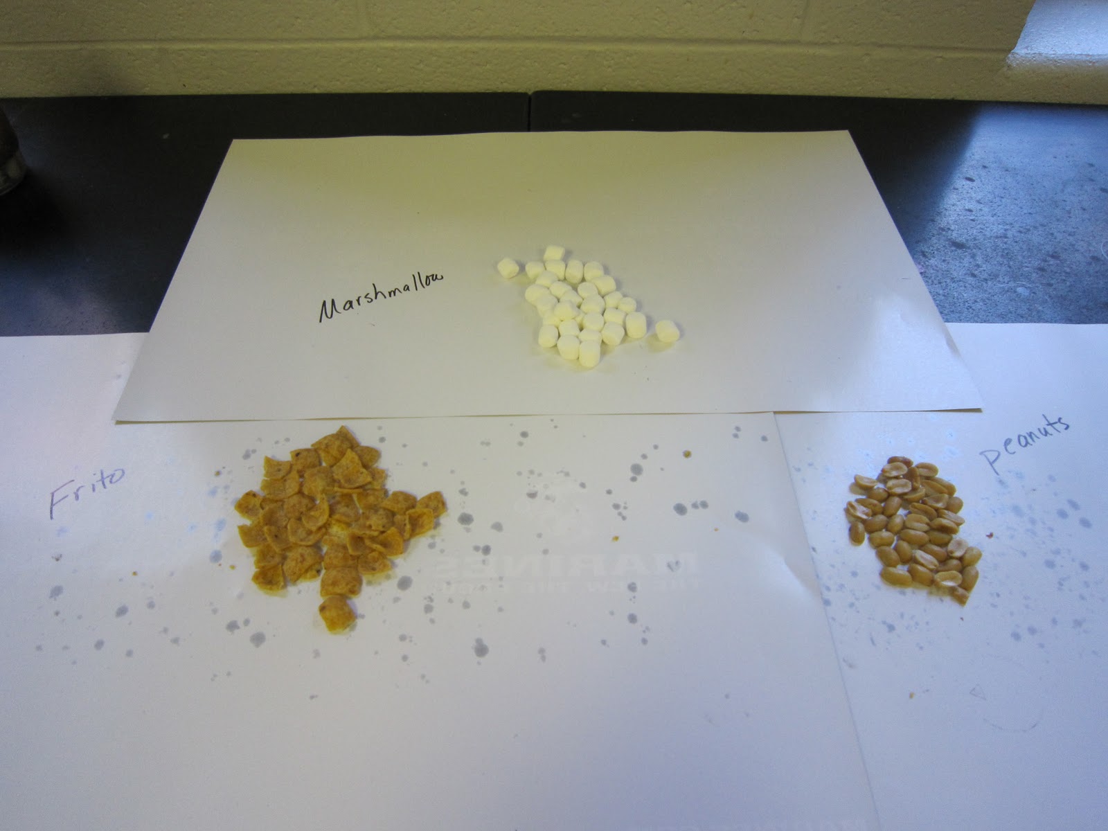 Amy Brown Science How Much Energy Do Different Foods Contain?