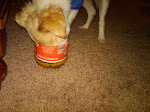Stellie and the Peanut Butter