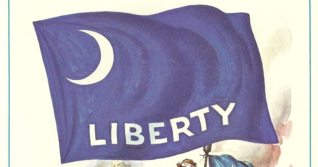 Rogers Park Retro Flags of America the Fort Moultrie flag
