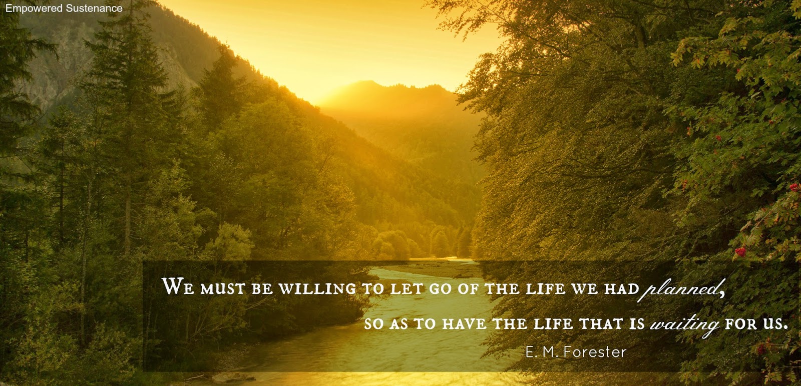 quotes for journey to success