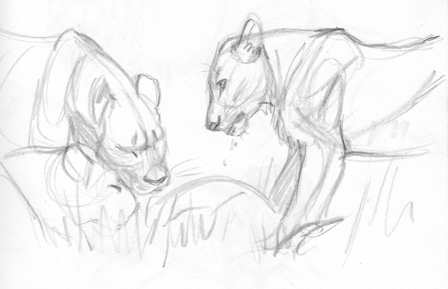 Tina Nawrocki - Art and Animation: Big Cats - Lions