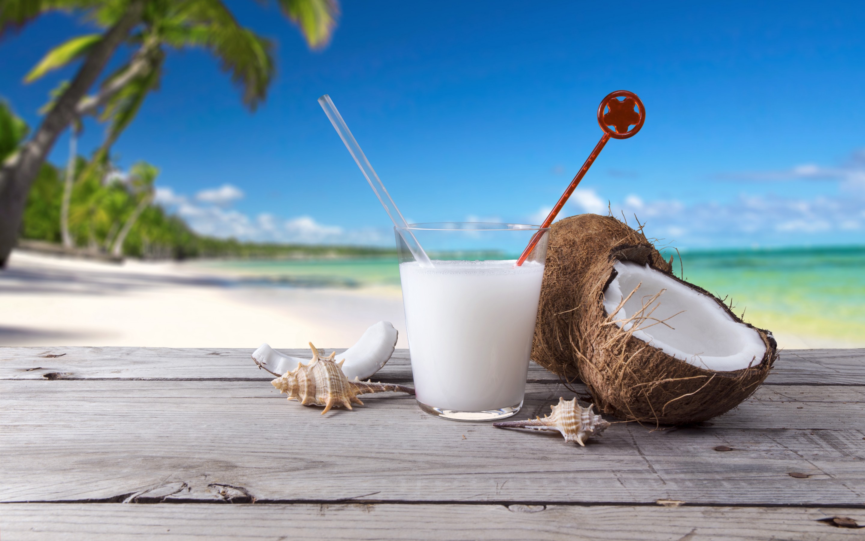 Coconut Drink Shells Beach Palm Trees Mystery Wallpaper