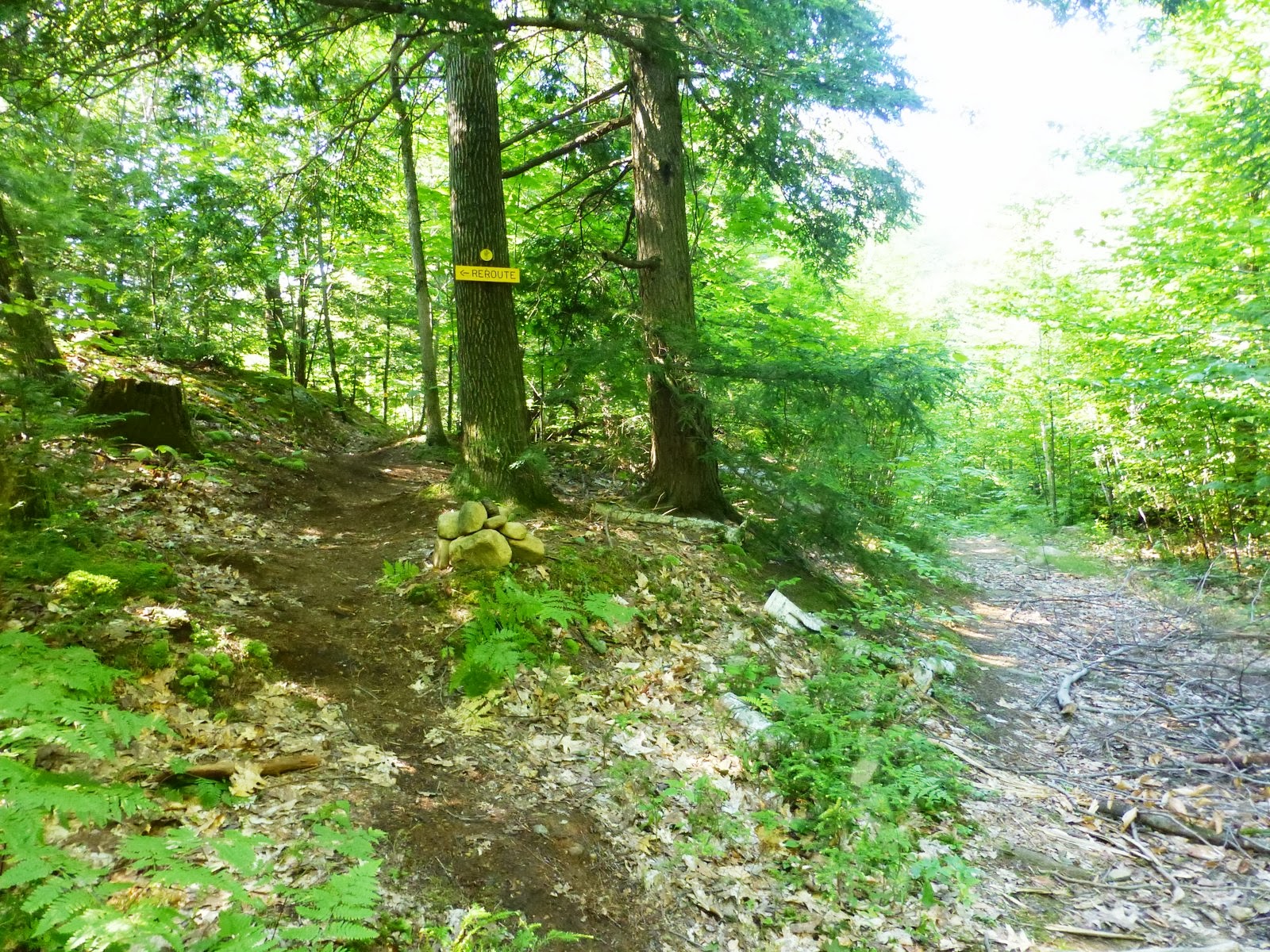 Off on Adventure Cat and Thomas Mountains Bolton, NY 7/27/13
