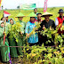 Bupati Blora : Penen Raya Kedelai 250 Hektare di Kecamatan Jati Menggembirakan