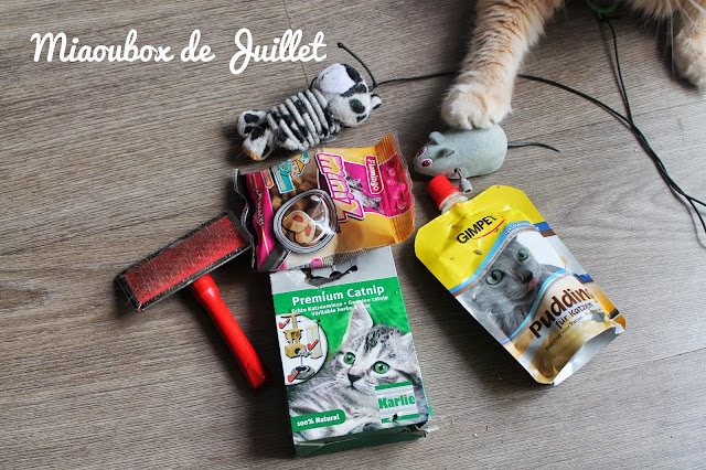 Une box pour les chats