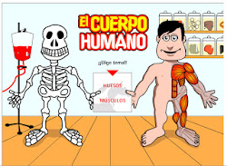 El Cuerpo Humano