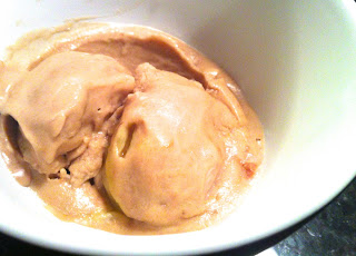 4 ingredient Yogurt ice cream, banana/chocolate/yogurt/peanut butter