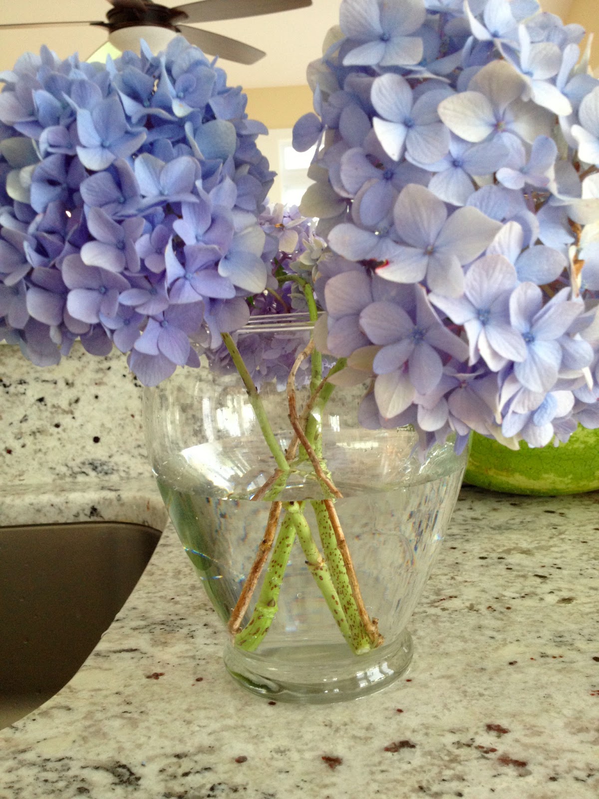 Two It Yourself How to dry hydrangeas