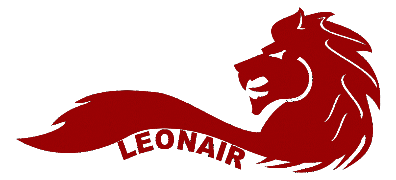 LEON AIR