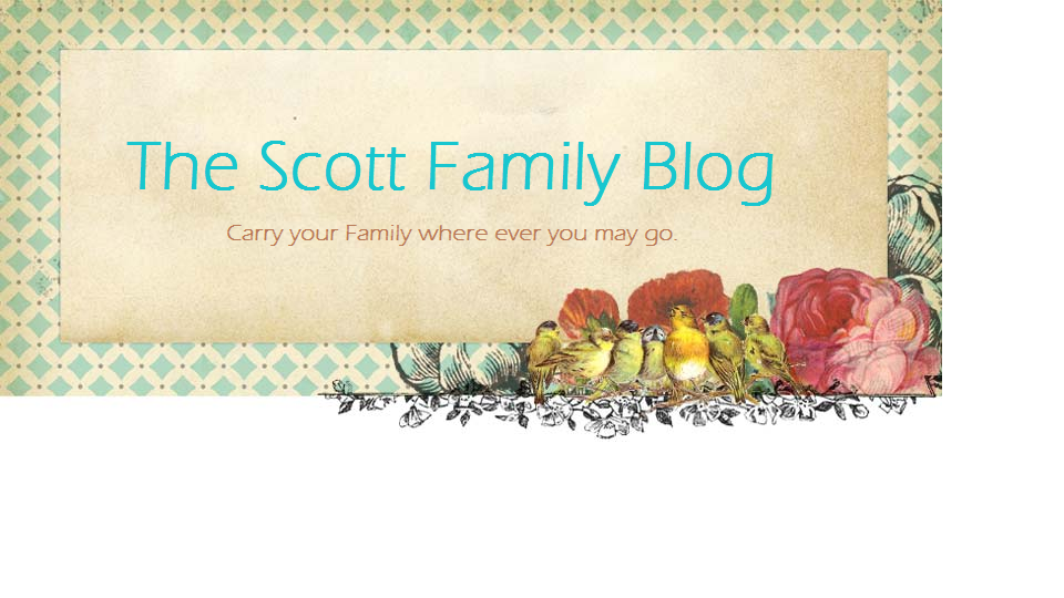 The Scott Family Blog
