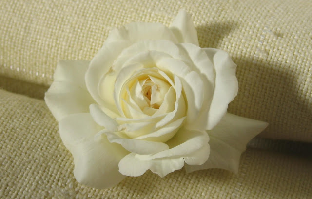 صور ورود رومانسية للاهداء 2019 باقات ورد مكتوب عليها عبارات حب الربيع هو الوقت المثالي للفرح والتمتع بجمال الطبيعة إنه الوقت الذي تزهر ف Birthday Cake Flowers