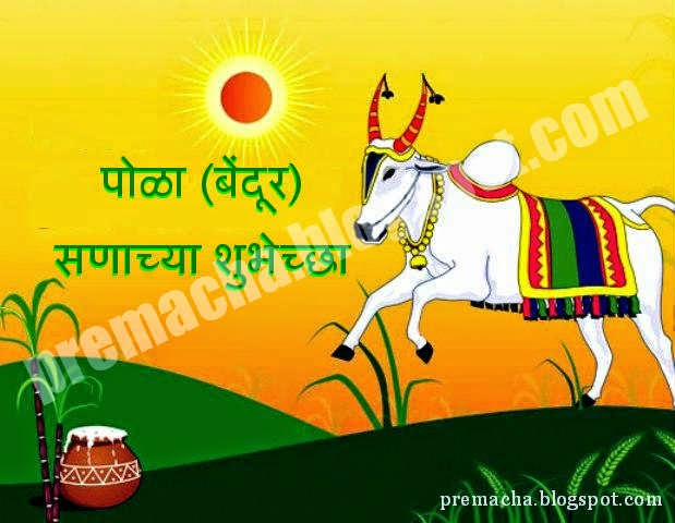 Bail pola 2020 picture