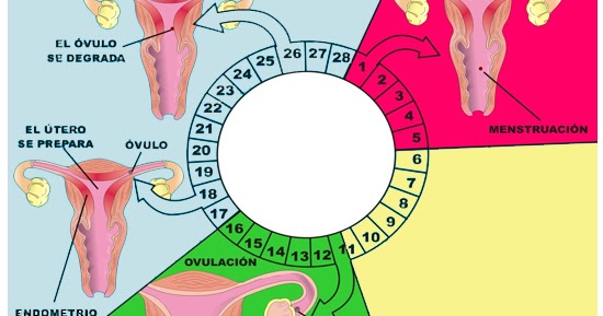 MI HISTORIA, MI TESTIMONIO DE EMBARAZO, MI MILAGRO ...