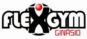 FLEX-GYM