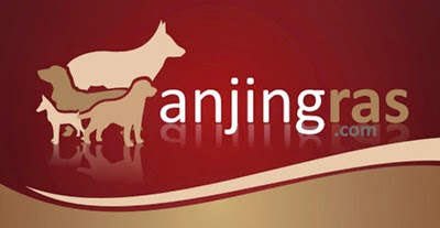 anjingras banner